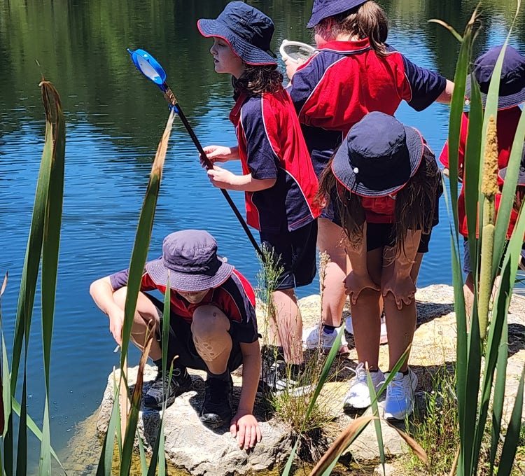 Students catching tadpoles at a pond